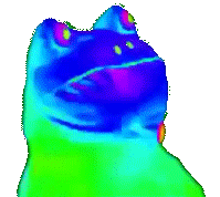 Froink rainbow frog